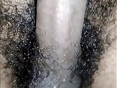 Thick Indian dick